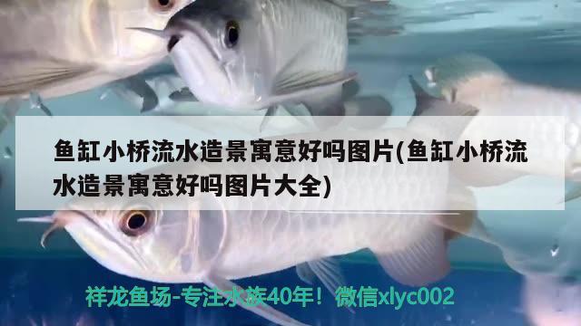 魚缸小橋流水造景寓意好嗎圖片(魚缸小橋流水造景寓意好嗎圖片大全)