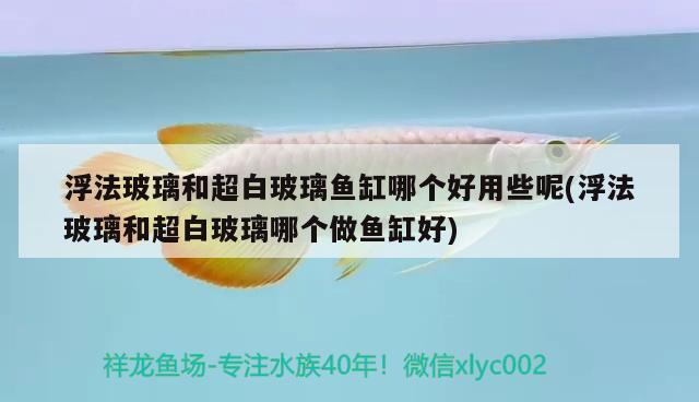 浮法玻璃和超白玻璃魚(yú)缸哪個(gè)好用些呢(浮法玻璃和超白玻璃哪個(gè)做魚(yú)缸好)