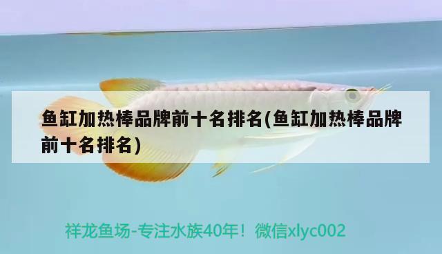 魚缸加熱棒品牌前十名排名(魚缸加熱棒品牌前十名排名)