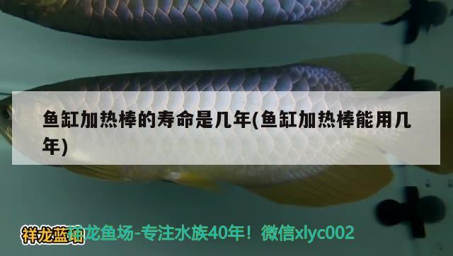 魚(yú)缸加熱棒的壽命是幾年(魚(yú)缸加熱棒能用幾年)