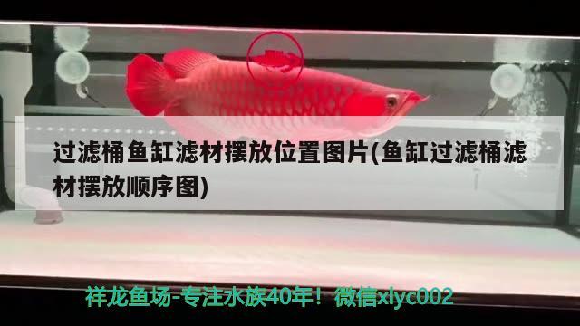 過濾桶魚缸濾材擺放位置圖片(魚缸過濾桶濾材擺放順序圖)