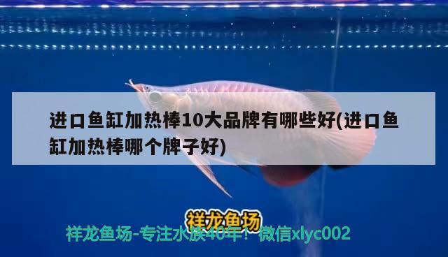 進(jìn)口魚缸加熱棒10大品牌有哪些好(進(jìn)口魚缸加熱棒哪個(gè)牌子好) 照明器材