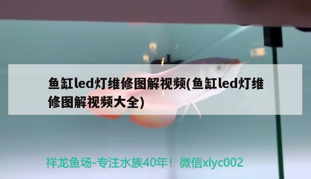 魚缸led燈維修圖解視頻(魚缸led燈維修圖解視頻大全)