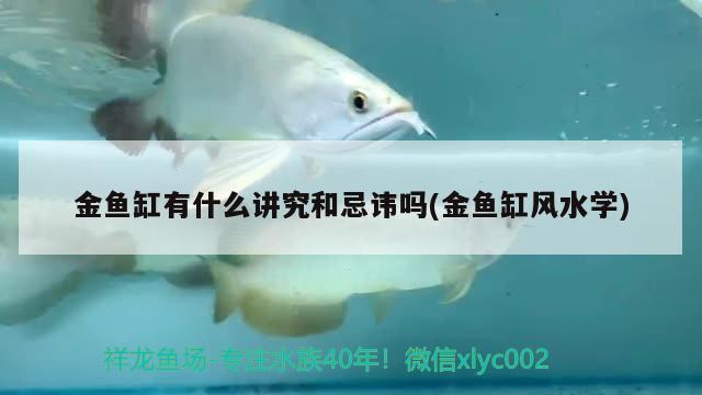 金魚缸有什么講究和忌諱嗎(金魚缸風(fēng)水學(xué))