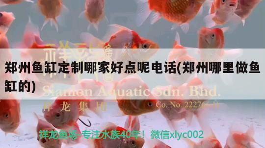 鄭州魚缸定制哪家好點呢電話(鄭州哪里做魚缸的)