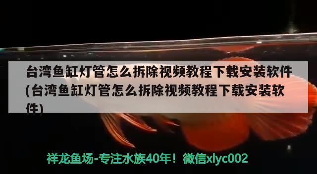 臺灣魚缸燈管怎么拆除視頻教程下載安裝軟件(臺灣魚缸燈管怎么拆除視頻教程下載安裝軟件)