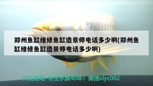 鄭州魚缸維修魚缸造景師電話多少啊(鄭州魚缸維修魚缸造景師電話多少啊)