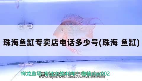 珠海魚缸專賣店電話多少號(hào)(珠海魚缸)