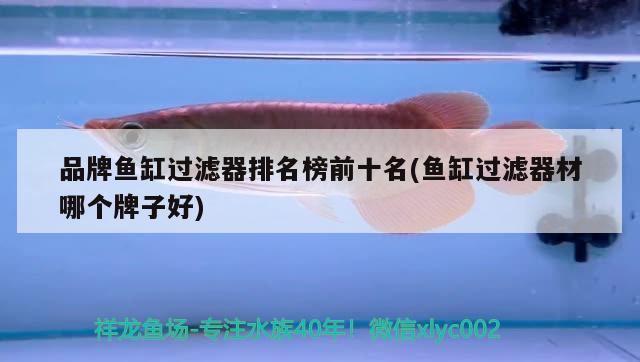 品牌魚缸過濾器排名榜前十名(魚缸過濾器材哪個(gè)牌子好)