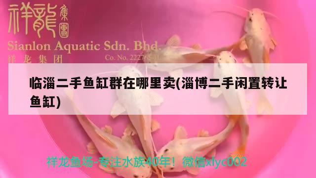 臨淄二手魚缸群在哪里賣(淄博二手閑置轉(zhuǎn)讓魚缸) 朱巴利魚苗 第2張