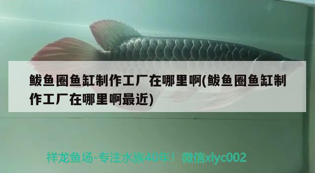 鲅魚(yú)圈魚(yú)缸制作工廠在哪里啊(鲅魚(yú)圈魚(yú)缸制作工廠在哪里啊最近)