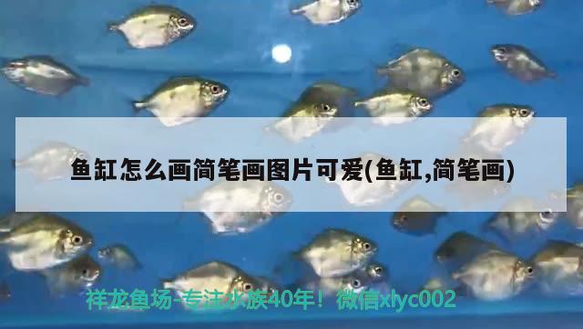 魚缸怎么畫簡筆畫圖片可愛(魚缸,簡筆畫) 赤荔鳳冠魚