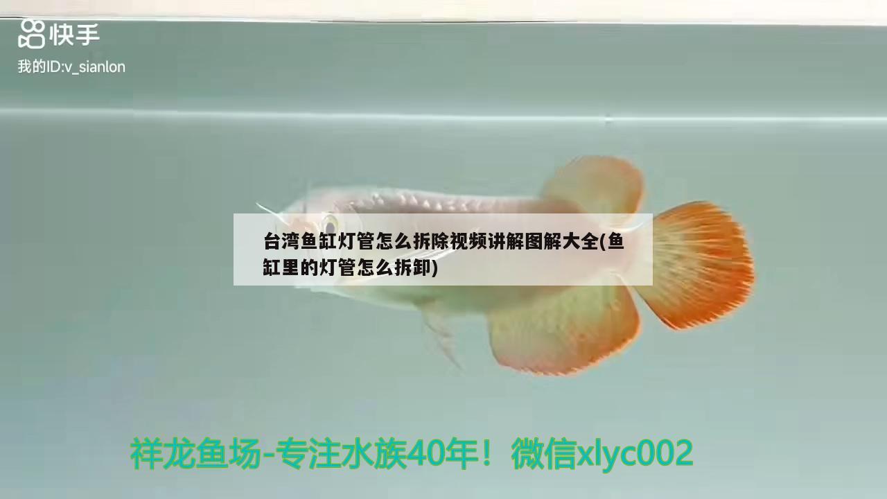 臺灣魚缸燈管怎么拆除視頻講解圖解大全(魚缸里的燈管怎么拆卸) 福魟魟魚