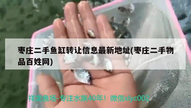 棗莊二手魚缸轉(zhuǎn)讓信息最新地址(棗莊二手物品百姓網(wǎng)) 紅勾銀版魚