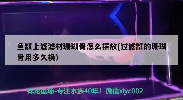 魚缸上濾濾材珊瑚骨怎么擺放(過濾缸的珊瑚骨用多久換) 錦鯉池魚池建設(shè)