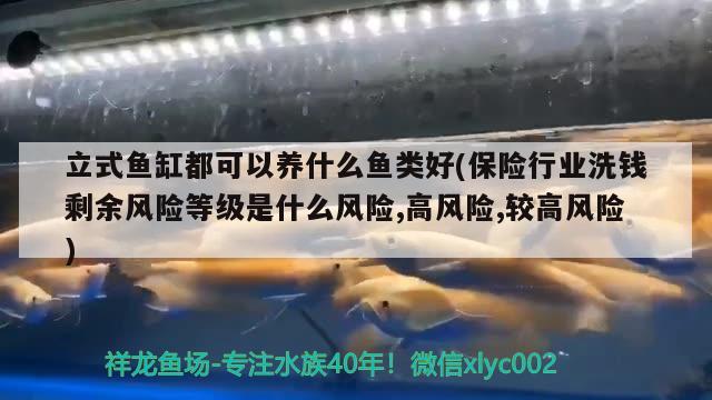 立式魚缸都可以養(yǎng)什么魚類好(保險行業(yè)洗錢剩余風險等級是什么風險,高風險,較高風險)