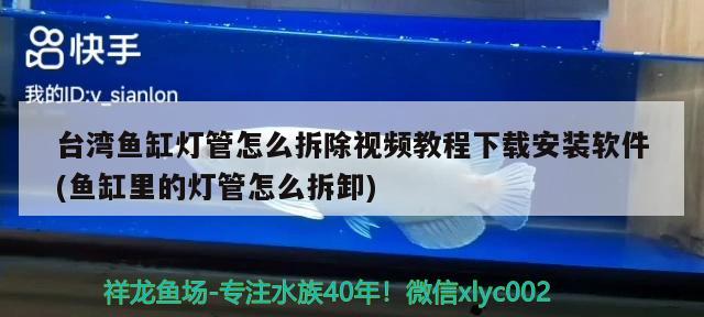 臺灣魚缸燈管怎么拆除視頻教程下載安裝軟件(魚缸里的燈管怎么拆卸)