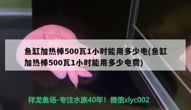 魚(yú)缸加熱棒500瓦1小時(shí)能用多少電(魚(yú)缸加熱棒500瓦1小時(shí)能用多少電費(fèi))