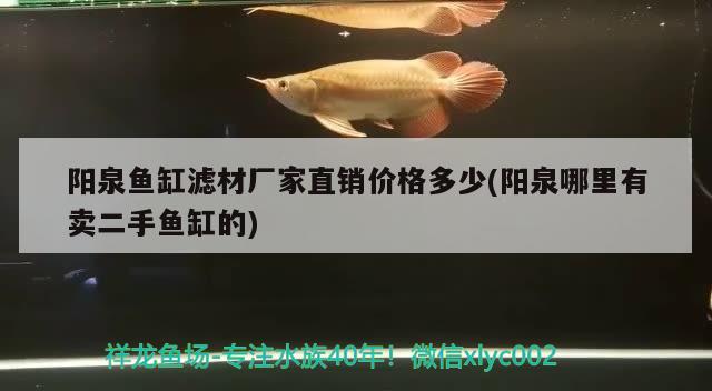 陽泉魚缸濾材廠家直銷價(jià)格多少(陽泉哪里有賣二手魚缸的) 一眉道人魚 第3張