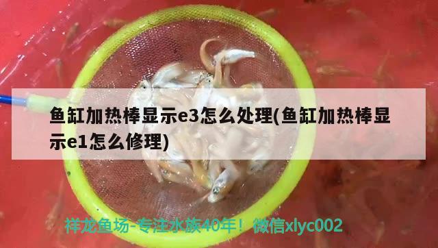 魚缸加熱棒顯示e3怎么處理(魚缸加熱棒顯示e1怎么修理)