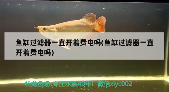 魚缸過濾器一直開著費電嗎(魚缸過濾器一直開著費電嗎)