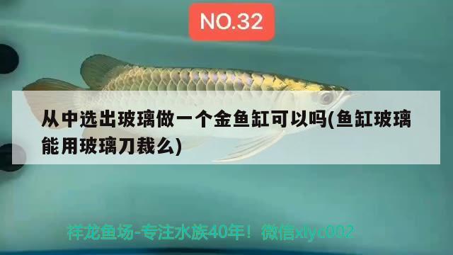 從中選出玻璃做一個(gè)金魚缸可以嗎(魚缸玻璃能用玻璃刀裁么)