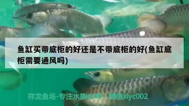 魚缸買帶底柜的好還是不帶底柜的好(魚缸底柜需要通風(fēng)嗎) 玫瑰銀版魚