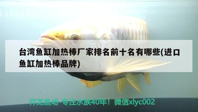 臺(tái)灣魚缸加熱棒廠家排名前十名有哪些(進(jìn)口魚缸加熱棒品牌)