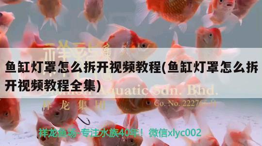 魚缸燈罩怎么拆開視頻教程(魚缸燈罩怎么拆開視頻教程全集)