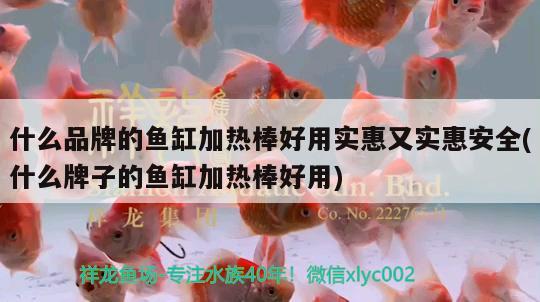 什么品牌的魚缸加熱棒好用實惠又實惠安全(什么牌子的魚缸加熱棒好用) 祥龍水族濾材/器材 第2張