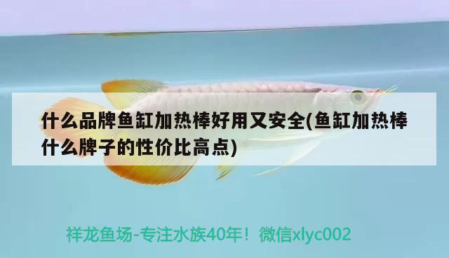 什么品牌魚缸加熱棒好用又安全(魚缸加熱棒什么牌子的性價比高點)