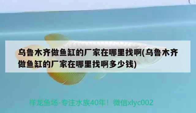 烏魯木齊做魚缸的廠家在哪里找啊(烏魯木齊做魚缸的廠家在哪里找啊多少錢)