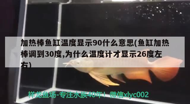 加熱棒魚(yú)缸溫度顯示90什么意思(魚(yú)缸加熱棒調(diào)到30度,為什么溫度計(jì)才顯示26度左右) 狗仔招財(cái)貓魚(yú)