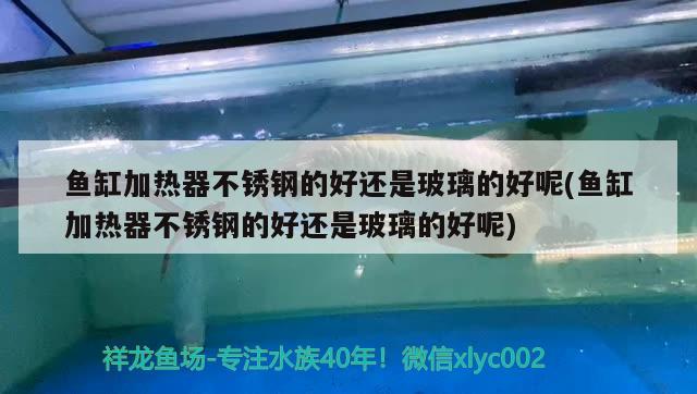 魚缸加熱器不銹鋼的好還是玻璃的好呢(魚缸加熱器不銹鋼的好還是玻璃的好呢) 巴卡雷龍魚