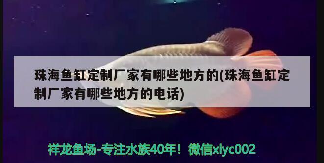 珠海魚缸定制廠家有哪些地方的(珠海魚缸定制廠家有哪些地方的電話) 祥龍傳奇品牌魚缸