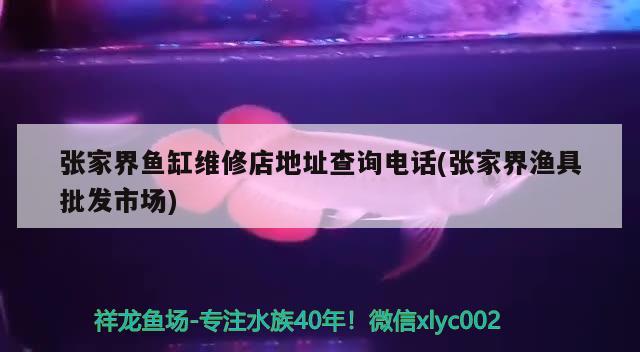 張家界魚缸維修店地址查詢電話(張家界漁具批發(fā)市場) 伊巴卡魚 第3張