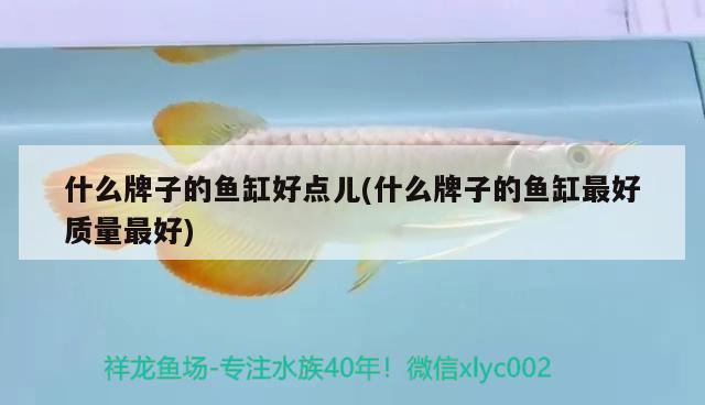 什么牌子的魚缸好點(diǎn)兒(什么牌子的魚缸最好質(zhì)量最好) 豹紋夫魚苗