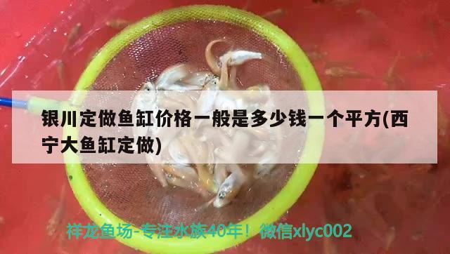 銀川定做魚缸價(jià)格一般是多少錢一個(gè)平方(西寧大魚缸定做)