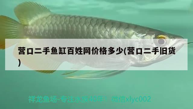 營(yíng)口二手魚缸百姓網(wǎng)價(jià)格多少(營(yíng)口二手舊貨) 祥龍傳奇品牌魚缸