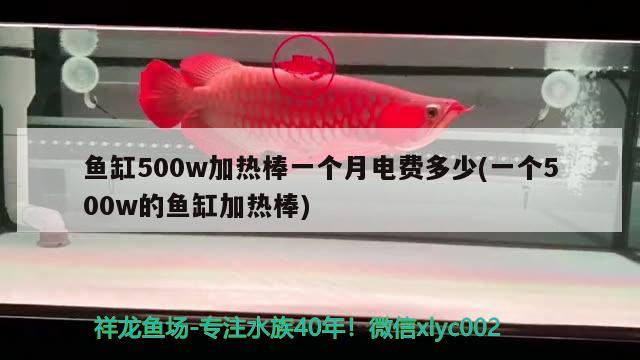 魚缸500w加熱棒一個月電費多少(一個500w的魚缸加熱棒)