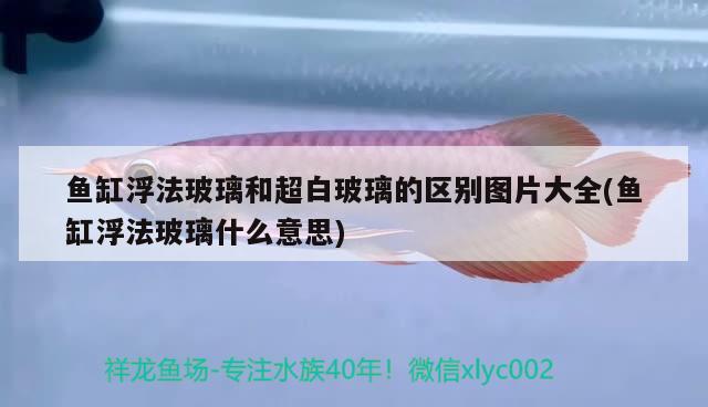 魚缸浮法玻璃和超白玻璃的區(qū)別圖片大全(魚缸浮法玻璃什么意思)