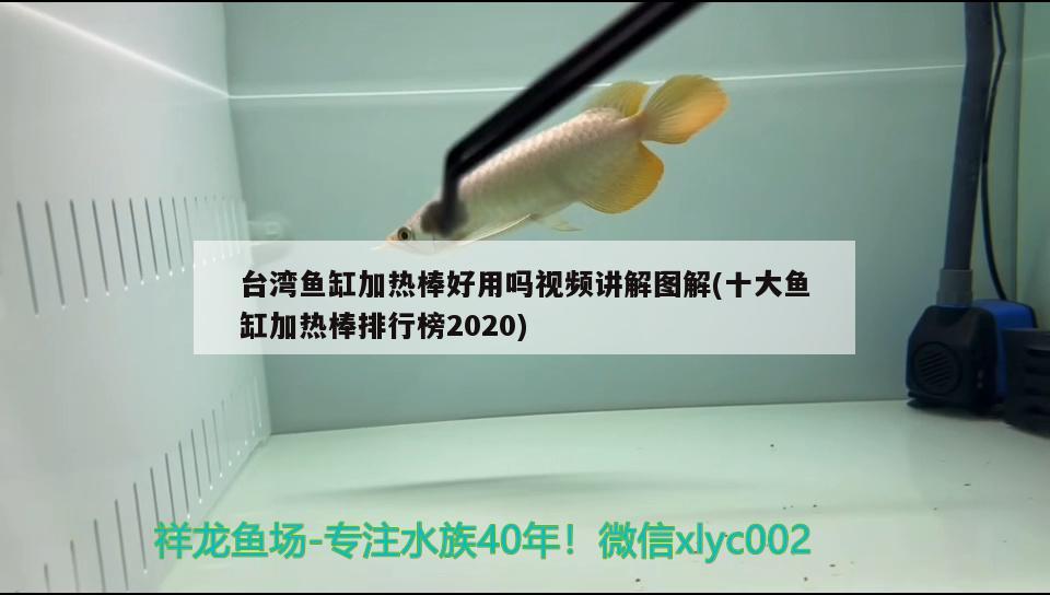 臺(tái)灣魚缸加熱棒好用嗎視頻講解圖解(十大魚缸加熱棒排行榜2020) 廣州水族批發(fā)市場