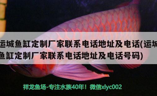 運(yùn)城魚缸定制廠家聯(lián)系電話地址及電話(運(yùn)城魚缸定制廠家聯(lián)系電話地址及電話號(hào)碼) 泰國(guó)虎魚