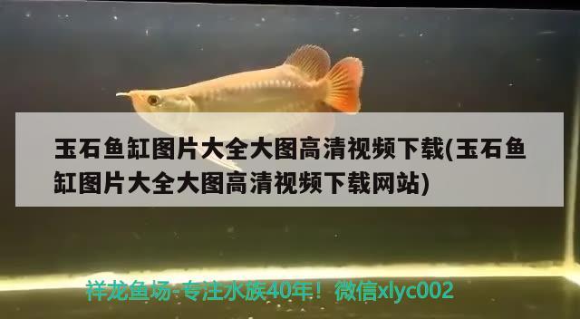 玉石魚缸圖片大全大圖高清視頻下載(玉石魚缸圖片大全大圖高清視頻下載網(wǎng)站)