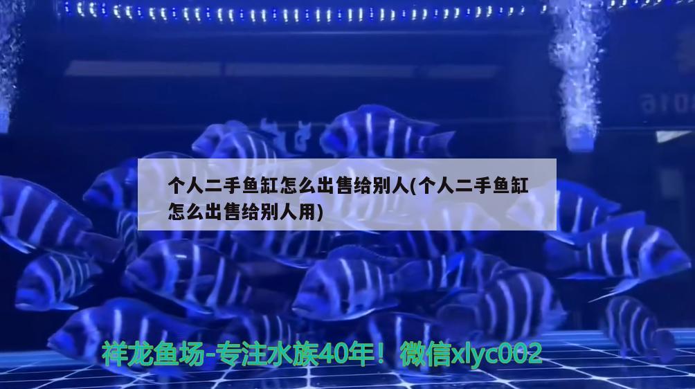 個(gè)人二手魚缸怎么出售給別人(個(gè)人二手魚缸怎么出售給別人用)