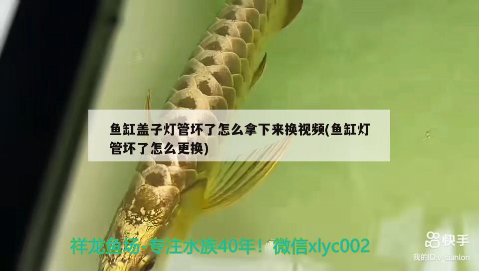 魚(yú)缸蓋子燈管壞了怎么拿下來(lái)?yè)Q視頻(魚(yú)缸燈管壞了怎么更換) 水族維護(hù)服務(wù)（上門）