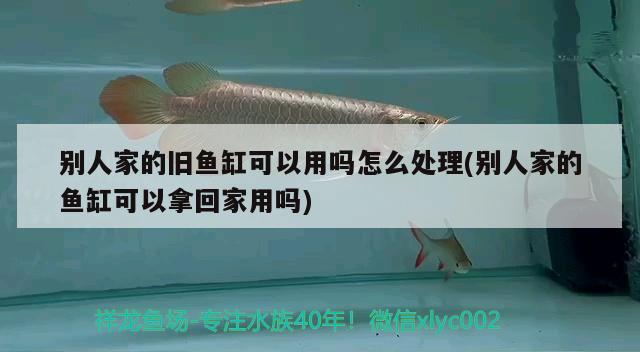 別人家的舊魚缸可以用嗎怎么處理(別人家的魚缸可以拿回家用嗎) 魚缸凈水劑