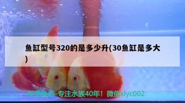 魚缸型號320的是多少升(30魚缸是多大)