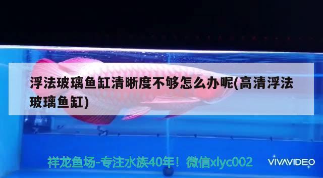 浮法玻璃魚缸清晰度不夠怎么辦呢(高清浮法玻璃魚缸)