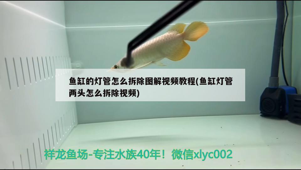 魚缸的燈管怎么拆除圖解視頻教程(魚缸燈管兩頭怎么拆除視頻) 薩伊藍(lán)魚